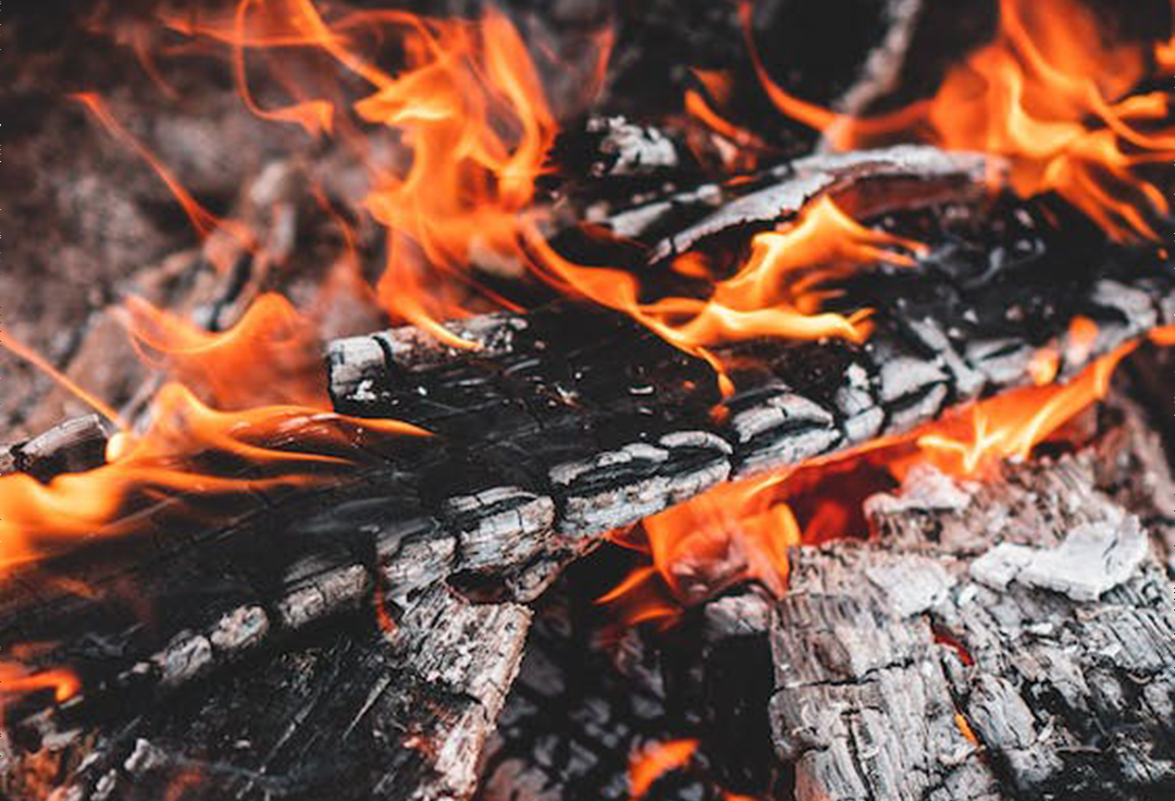 Que faire des cendres de bois de votre cheminée ?